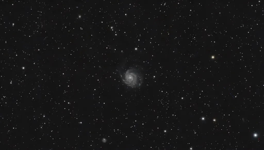 amateur astrophoto of the pinwheel galaxy