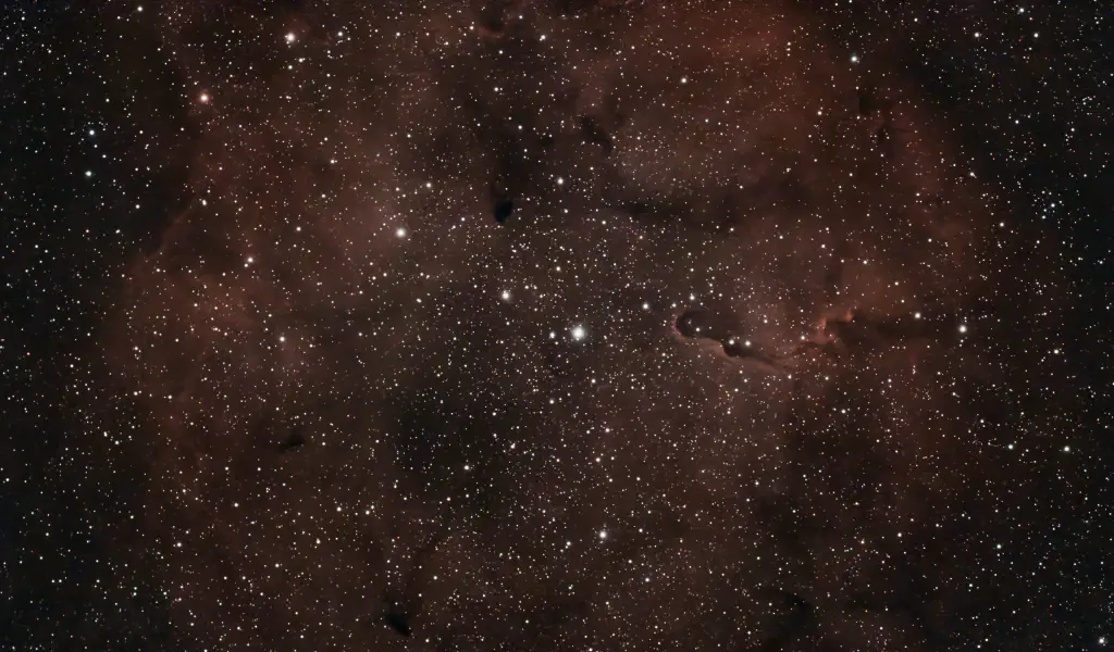 amateur astrophoto of the Elephant's Trunk Nebula