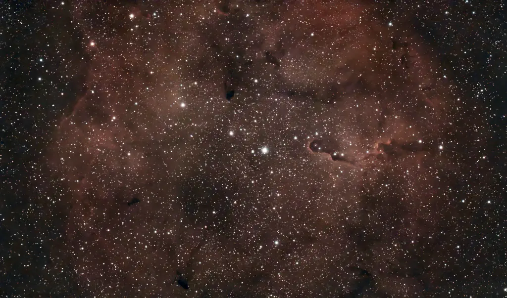 amateur astrophoto of the Elephant's Trunk Nebula