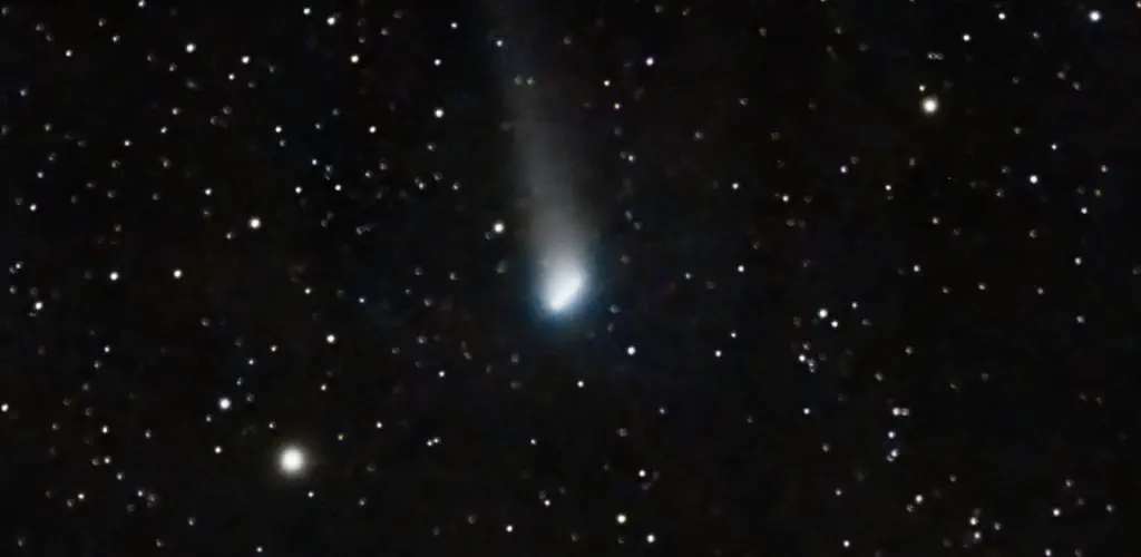 amateur astrophoto of Comet Lemmon