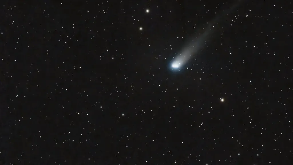 amateur astrophoto of Comet Lemmon