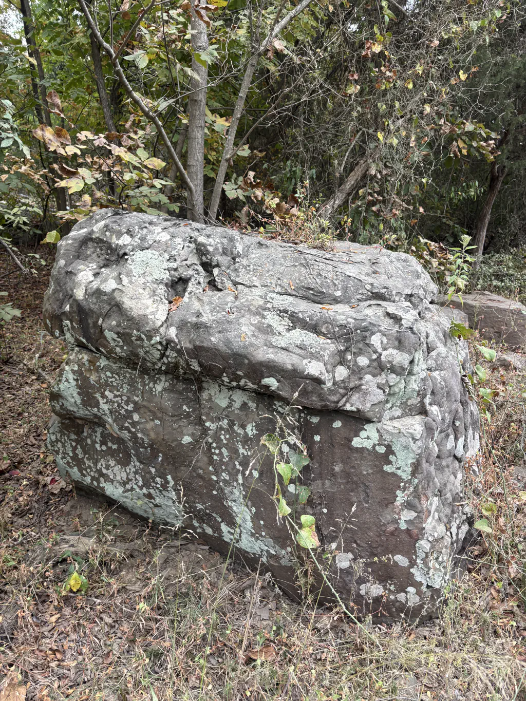 photo of a large mossy rock