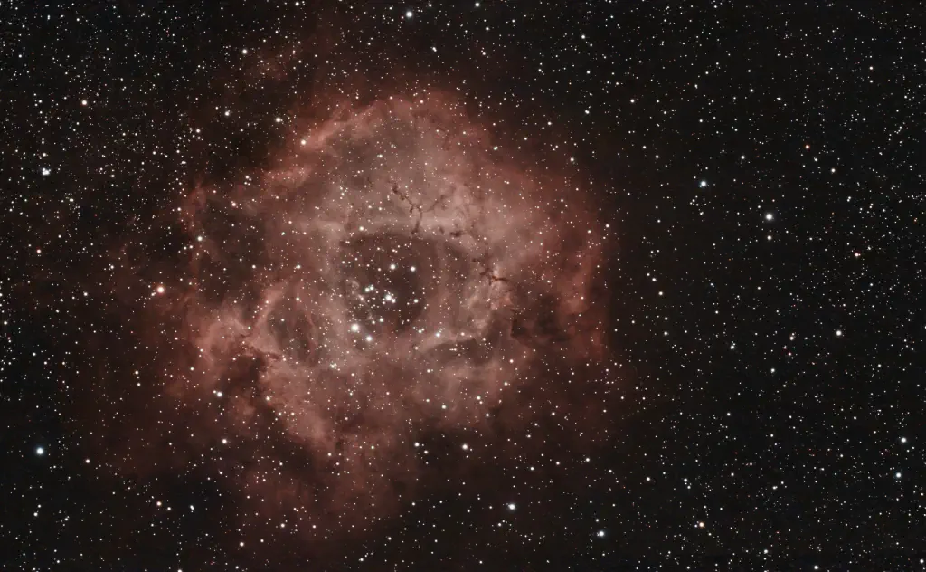 amateur astrophoto of the Rosette Nebula