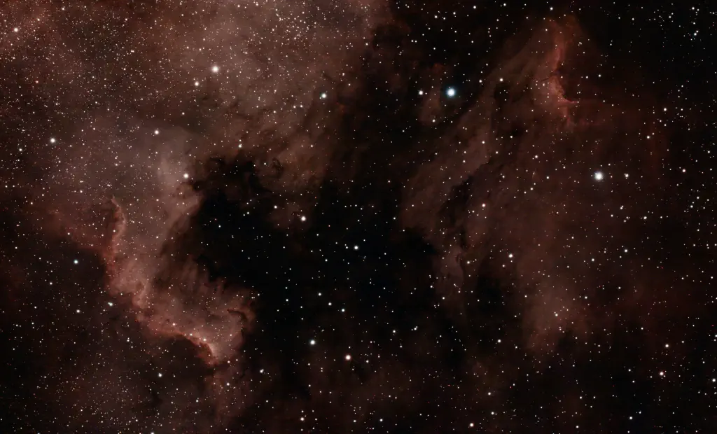 amateur astrophoto of the Pelican Nebula